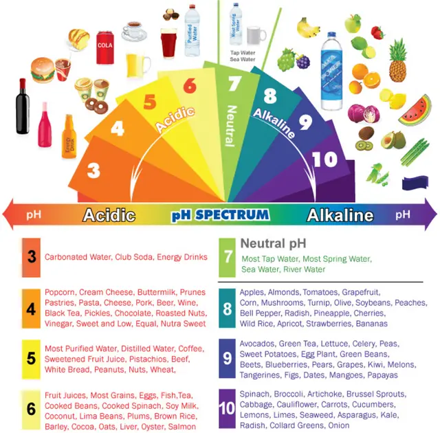 acidic diet vs. alkaline diet